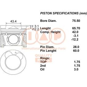 Kolben 100-21079 von IAP QUALITY PARTS günstig für 371,35 € online kaufen