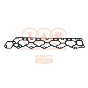 Dichtungssatz, Ansaugkrümmer 117-03031 PIAGGIO von IAP QUALITY PARTS