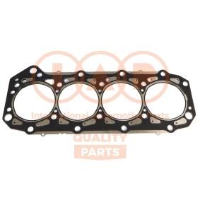 Zylinderkopfdichtung 118-13035 von IAP QUALITY PARTS günstig für 113,19 € online kaufen