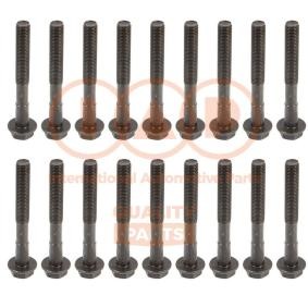 Zylinderkopfschraubensatz 119-14033 von IAP QUALITY PARTS günstig für 113,51 € online kaufen