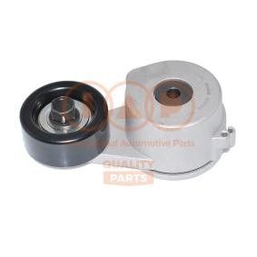 Umlenk- / Führungsrolle, Keilrippenriemen für KIA von IAP QUALITY PARTS