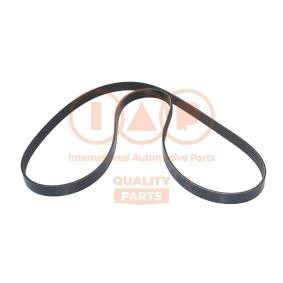 Keilrippenriemen von IAP QUALITY PARTS