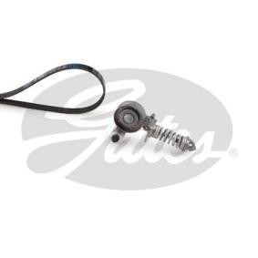 Compre Jogo de correia trapezoidal estriada de GATES online para Adam (M13) a preços moderados