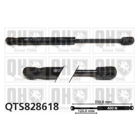 Motorhaubendämpfer QTS828618 von QUINTON HAZELL günstig für 49,88 € online kaufen