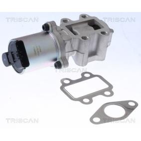 AGR-Ventil 8813 13100 von TRISCAN günstig für 161,73 € online kaufen