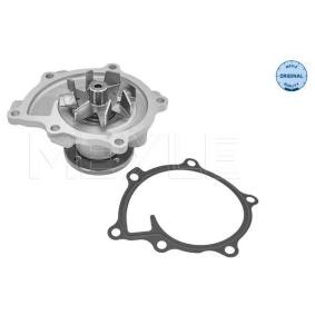 Köp Vattenpump av MEYLE 32-13 220 0017 till det låga priset 981,95 kr