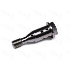 Steuerventil, Nockenwellenverstellung 716099 von AUTEX günstig für 51,90 € online kaufen