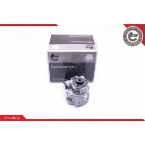 Servopumpe 10SKV249 von ESEN SKV günstig für 146,64 € online kaufen
