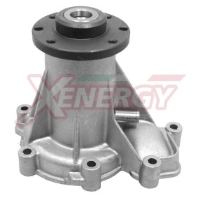 Wasserpumpe X202602 von AP XENERGY günstig für 95,81 € online kaufen