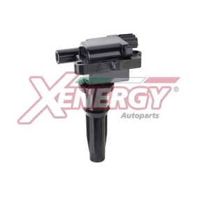 Acquista Bobina d'accensione da AP XENERGY XE-9122 a buon mercato per soli 68,17 €