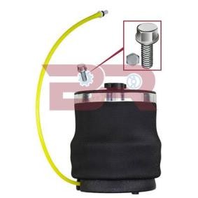 Acquista Pompa acqua da BOTTO RICAMBI BRAC1919 a buon mercato per soli 114,09 €