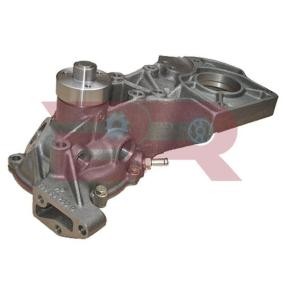Acquista Pompa acqua da BOTTO RICAMBI BRAC5831 a buon mercato per soli 158,11 €