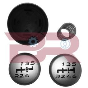 Reparatursatz, Schalthebel BRC6781 IVECO von BOTTO RICAMBI