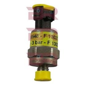 Kompressor, Luftfederung des Herstellers BOTTO RICAMBI - Originalware Artikelnummer: BREL9548
