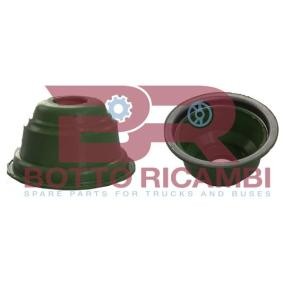 Zubehörsatz, Bremsbacken des Herstellers BOTTO RICAMBI - Originalware Artikelnummer: BRFR1677