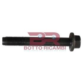Montagesatz, Abgasanlage des Herstellers BOTTO RICAMBI - Originalware Artikelnummer: BRM2238