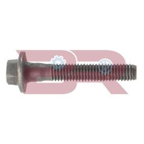 Montagesatz, Abgasanlage des Herstellers BOTTO RICAMBI - Originalware Artikelnummer: BRM3026