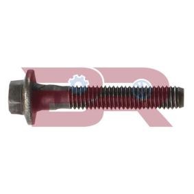 Montagesatz, Abgasanlage des Herstellers BOTTO RICAMBI - Originalware Artikelnummer: BRM3027