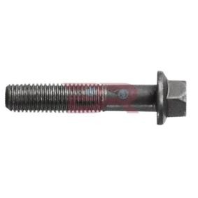 Montagesatz, Abgasanlage des Herstellers BOTTO RICAMBI - Originalware Artikelnummer: BRM4591