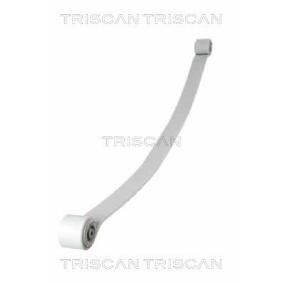 Federpaket 8765 23034 von TRISCAN günstig für 325,35 € online kaufen