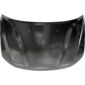 Motorhaube 4561000 von DIEDERICHS günstig für 282,75 € online kaufen