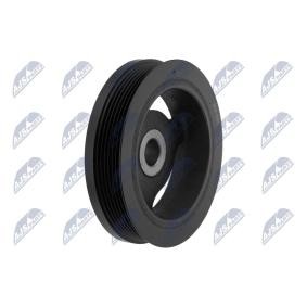 Zahnrad, Kurbelwelle des Herstellers NTY - Originalware Artikelnummer: RKP-CH-011