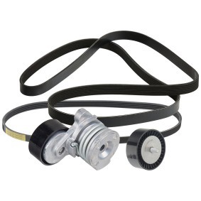 Achetez des Kit de courroie d'accessoire de chez RIDEX en ligne pour 3 Cabriolet (E93) à prix modérés