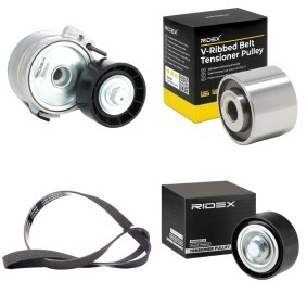 Achetez des Kit de courroie d'accessoire de chez RIDEX en ligne pour Xsara Van / 3/5 portes (N3) à prix modérés