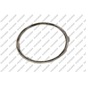 Comprar Carcasa, faro antiniebla de PRASCO VG0381241 a bajo precio de 10,29 €