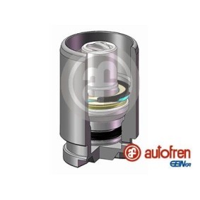 Kolben, Bremssattel D025116K von AUTOFREN SEINSA günstig für 23,86 € online kaufen