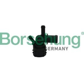 Kühlmittelflansch von Borsehung