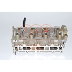 Zylinderkopf 120-07094G von IAP QUALITY PARTS günstig für 1320,17 € online kaufen