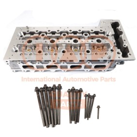Zylinderkopf 120-08035P von IAP QUALITY PARTS günstig für 1478,77 € online kaufen
