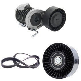 Achetez des Kit de courroie d'accessoire de chez RIDEX en ligne pour 3 Cabriolet (E93) à prix modérés