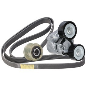 Achetez des Kit de courroie d'accessoire de chez RIDEX en ligne pour X5 (F15, F85) à prix modérés