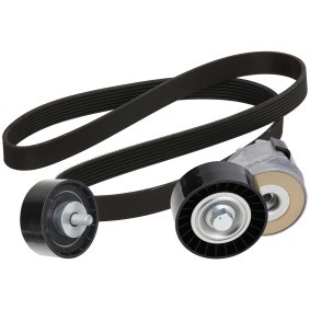 Köp Drivremssats av RIDEX 542R0491 till det låga priset 858,03 kr