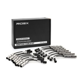 Acquista Kit cavi candele da RIDEX 685I0254 a buon mercato per soli 83,99 €