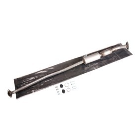 Katalysator des Herstellers RIDEX - Originalware Artikelnummer: 429C0065