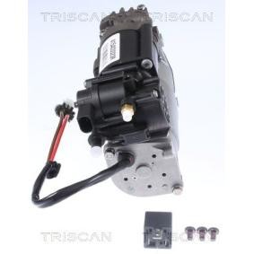 Kompressor, Luftfederung 8725 23102 von TRISCAN günstig für 880,16 € online kaufen