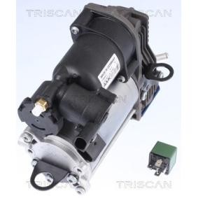 Kompressor, Luftfederung 8725 23103 von TRISCAN günstig für 880,16 € online kaufen