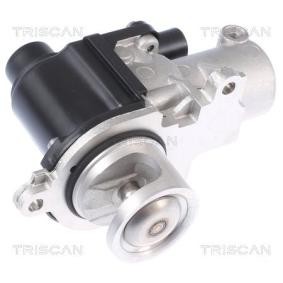 AGR-Ventil für AUDI von TRISCAN
