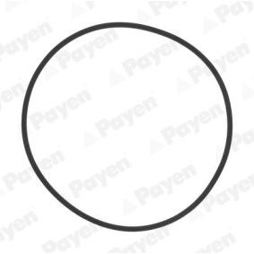 Compre Jogo de juntas, camisa de cilindro da PAYEN HL5383 a um preço baixo por 5,88 €