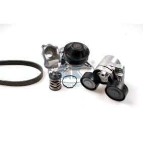 Comprar Bomba de agua + kit de correa poli V de GK K980828B-TH a bajo precio de 288,97 €