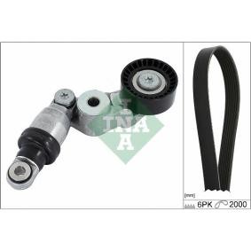 Compre Jogo de correias trapezoidais estriadas da INA 529 0413 10 a um preço baixo por 243,02 €