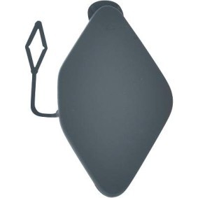 Klappe, Abschlepphaken 1218064 von DIEDERICHS günstig für 16,32 € online kaufen