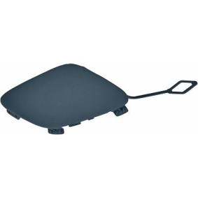 Klappe, Abschlepphaken 1226064 von DIEDERICHS günstig für 17,23 € online kaufen
