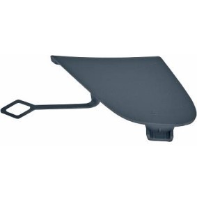 Klappe, Abschlepphaken 1648064 von DIEDERICHS günstig für 16,17 € online kaufen