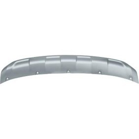 Acquista Mostrina, Paraurti da DIEDERICHS 4445254 a buon mercato per soli 99,79 €