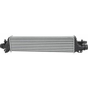 Achetez des Intercooler DIEDERICHS DCA1158 à prix pour 300,60 €
