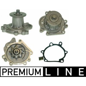 Acquista Pompa acqua da MAHLE ORIGINAL online per DYNA Pick-up a prezzi moderati